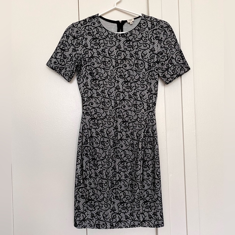 Aritzia Wilfred Mignonne Lace Overlay Dress